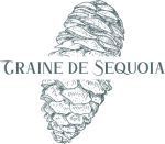 Logo_Graine de Sequoia
